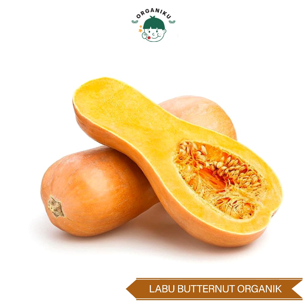 

Labu Butternut Organik / Organic Butternut Squash