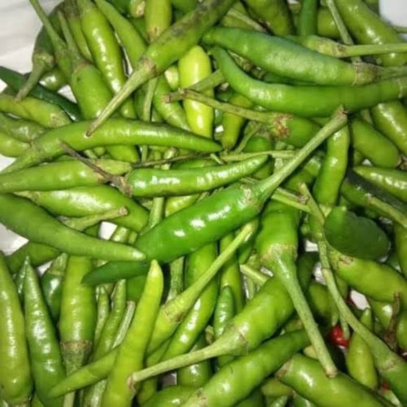 

cabe ijo kecil