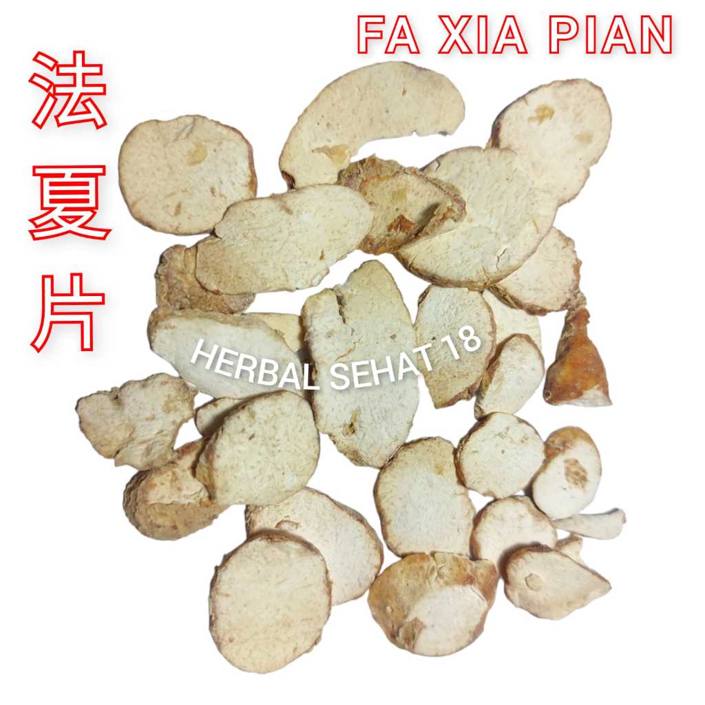 

600 gram - Fa Xia Pian 法夏片 Ariesaema Erubescens - Fat Ha