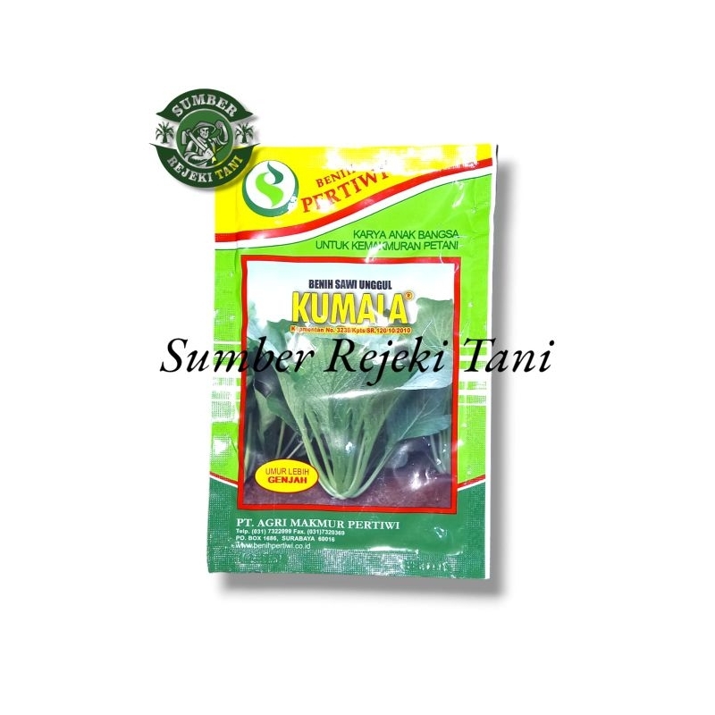 benih sawi manis kumala