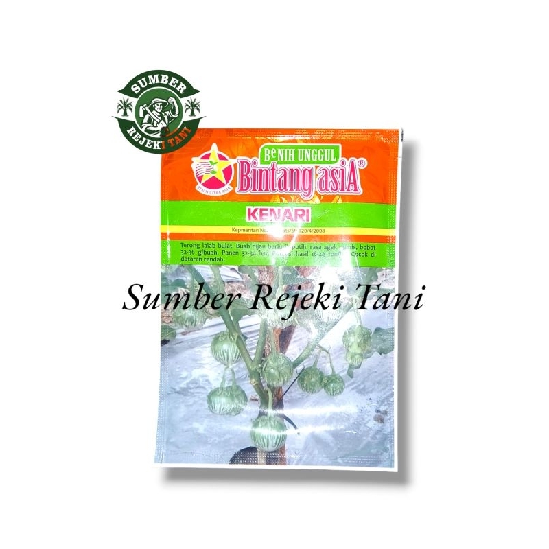 benih terong lalap kenari