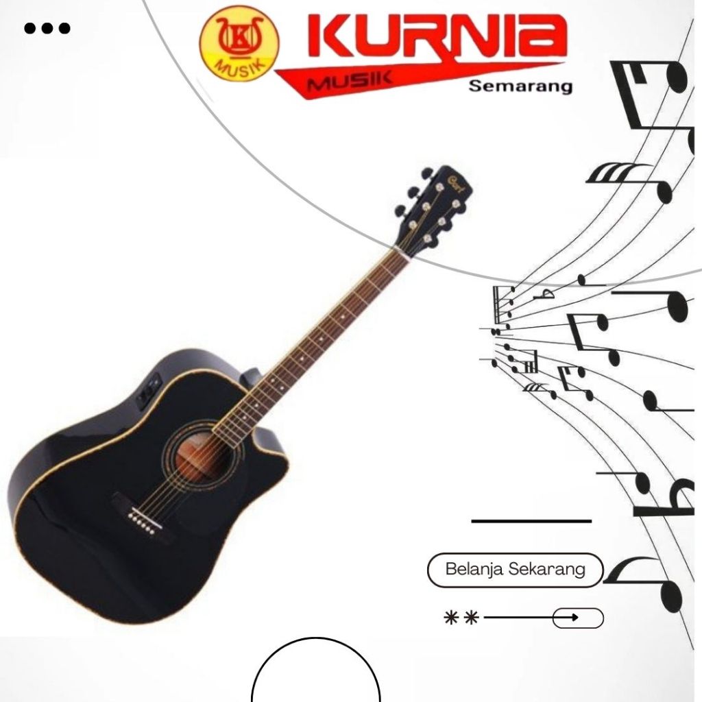 Cort AD880CEBK / AD 880 CE BK / AD-880 CE BK Guitar Acoustic Electric + BAG