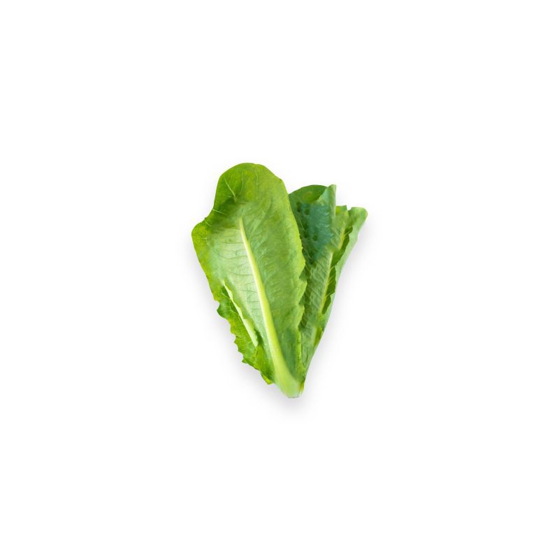 

SALE ROMAINE ORGANIK PER KG CURAH