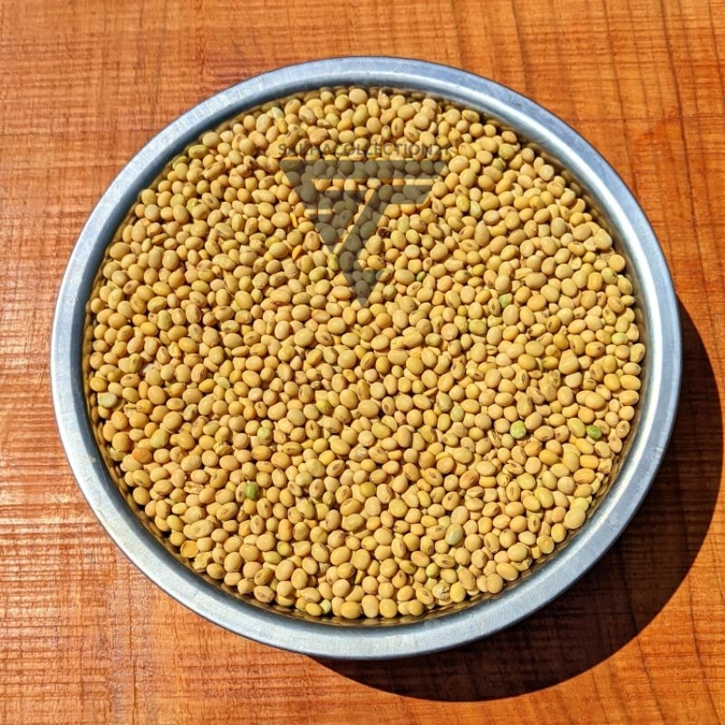 

1 Kg Kacang Kedelai Lokal Super Soy Bean / Non GMO Bahan Tempe / Tahu / Susu Kedelai