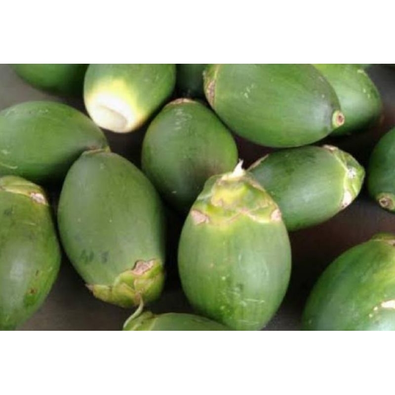 

Buah Pinang Buah Jambe Muda Segar Fresh 1 kg Murah