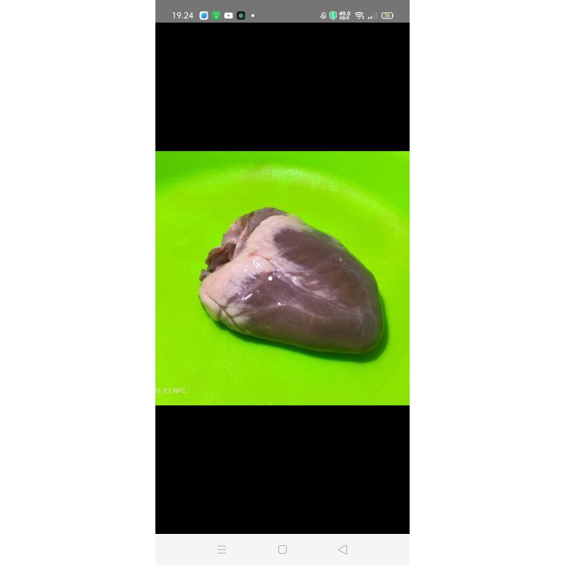 

jantung kambing utuh 1kg