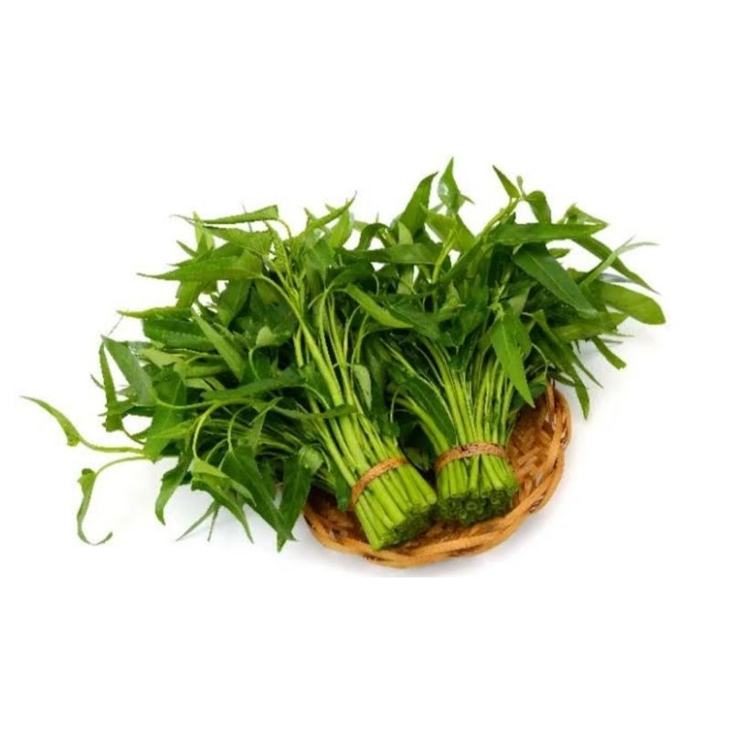 

kangkung sayur segar