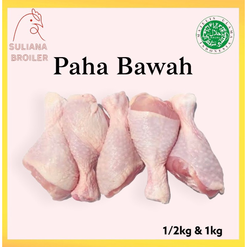 

Paha Ayam Pentung / Paha Ayam Bawah Fresh & Frozen