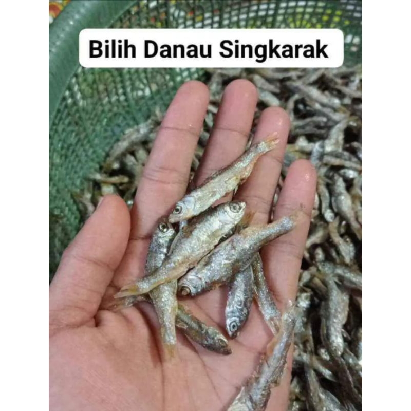 

IKAN BILIH ASLI DANAU SINGKARAK 1KG, 500gr | IKAN BILIH GORENG KRIUK