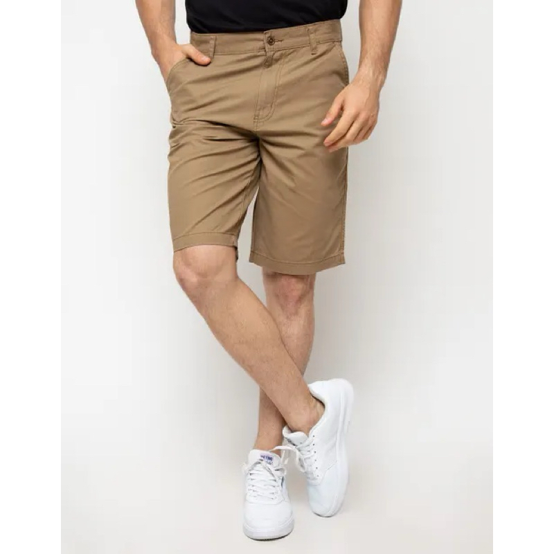 COLE celana pendek chinos basic