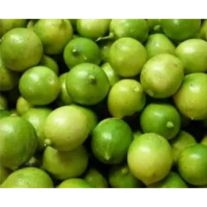 

Lemon Lokal (500gram)
