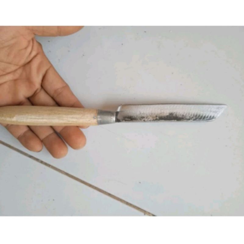 pisau dapur kecil, pisau kupas bawang gagang kayu