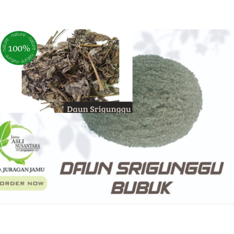 

Daun Srigunggu kering / Bubuk senggugu / kapsul / Teh celup