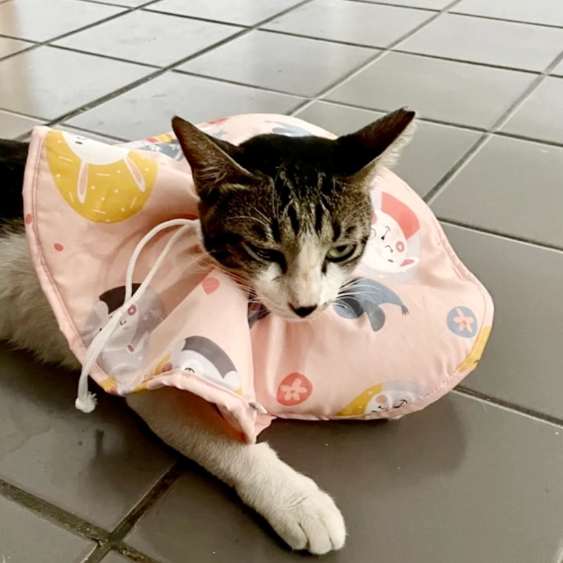 RB WOOFIDOO Pet Cone Collar Kain Anjing Kucing Protective Cone Collar Dog Cat Anti Jilat