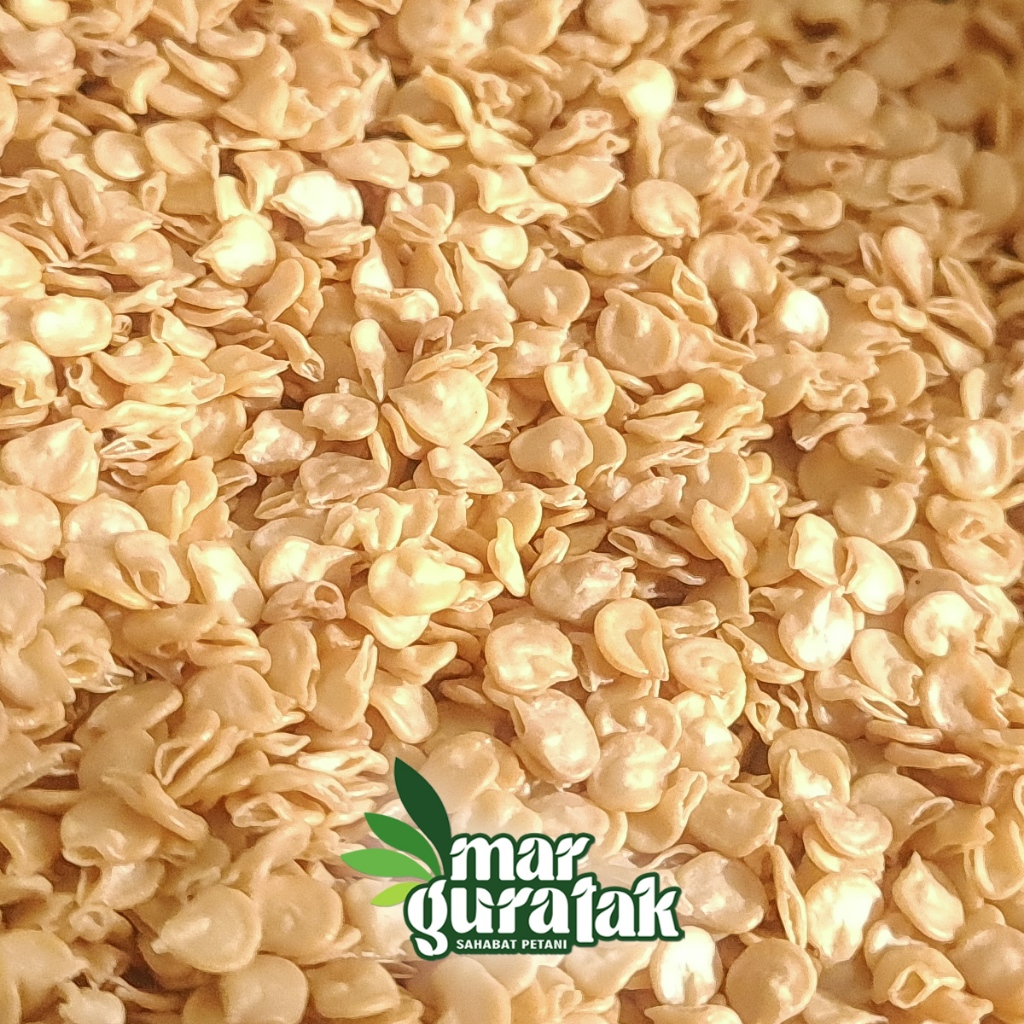 BIBIT CABE RAWIT LOKAL SIRAMOS 30 gram