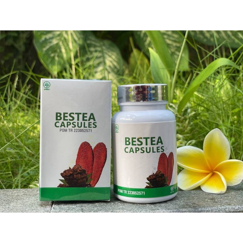 

Bestea Capsules 60 Terapi Diabetes Buah Merah Papua Sarang Semut