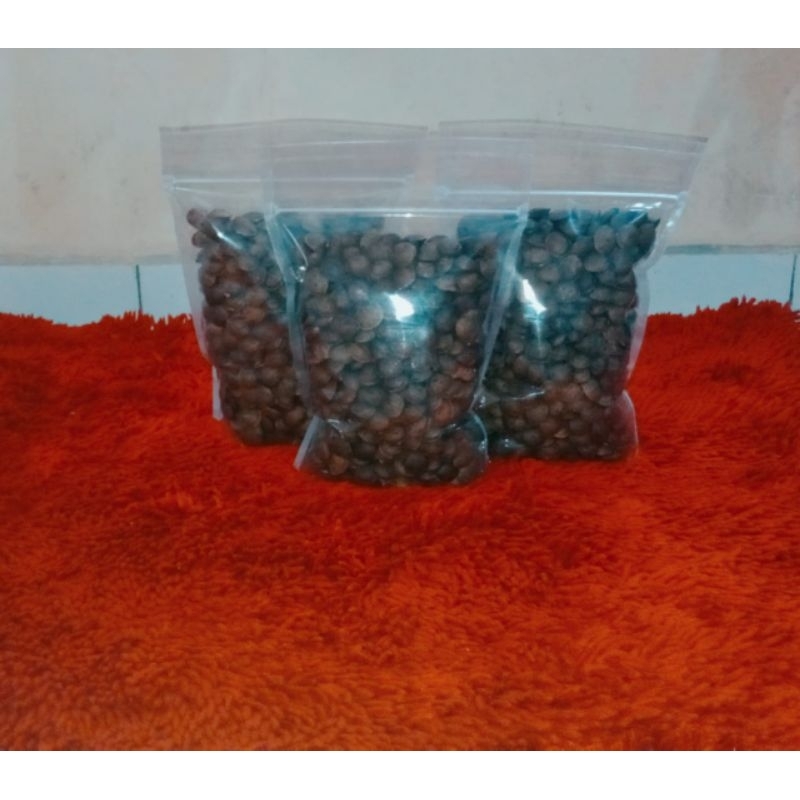 Bibit Kacang Sacha Inchi 1kg