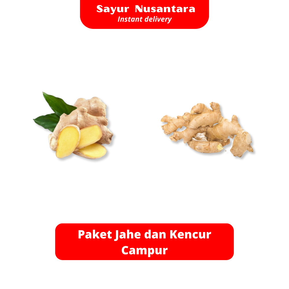 

Paket Jahe dan Kencur Campur - Sayur Nusantara