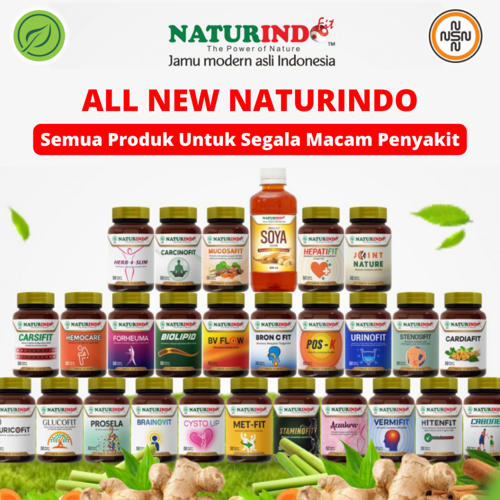 Obat Herbal NaturindoFit Herbal Modern Asli Indonesia Herbal Naturido All New Produk Naturindo Fit