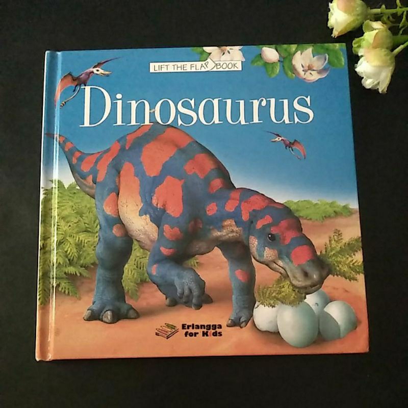 Lift The Flap book Dinosaurus erlangga for kids preloved