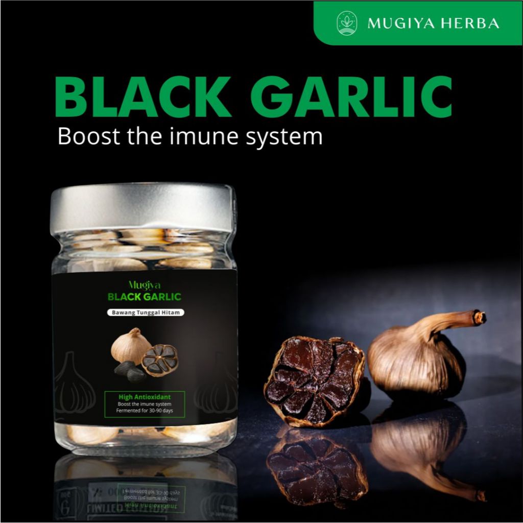 BLACK GARLIC BAWANG HITAM TUNGGAL KUALITAS PREMIUM BAWANG LANANG TUNGGAL