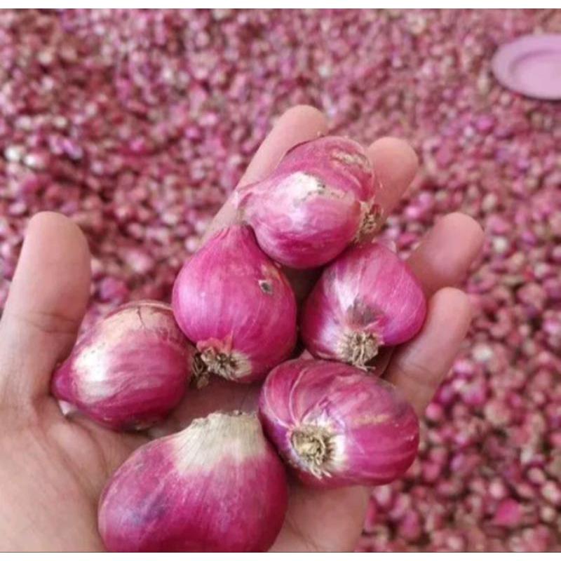 

Bawang Merah lokal 1kg