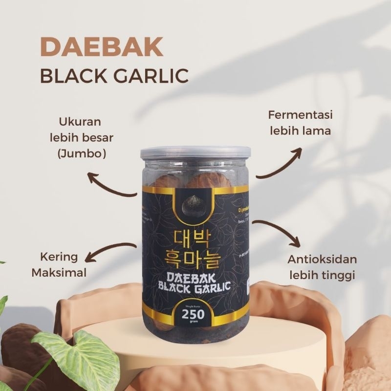 

BLACK GARLIC BAWANG TUNGGAL BAWANG HITAM BANYAK MANFAAT