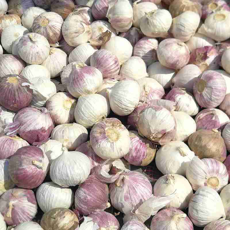 

Bawang Putih Tunggal Pilihan 1kg