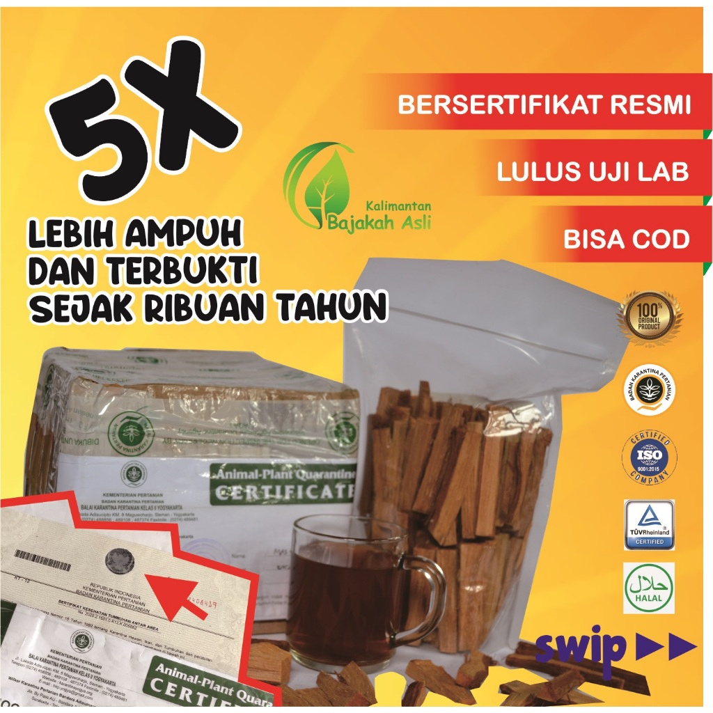 

Akar Kayu BAJAKAH TAMPALA MERAH Siap Seduh Obat Tumor dan Kanker (100% ORIGINAL) Asli Kalimantan