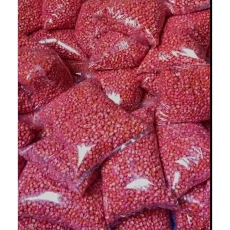 New Stock Benih jagung hibrida 27 2118212 perkasa sumo jago benih jagung siap tanam Bibit jagung hib