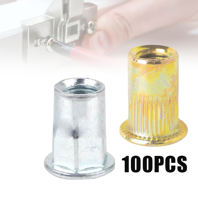 Rivet Nut Mur M6 100pcs/Nut Rivet/Mur Rivet Aluminium
