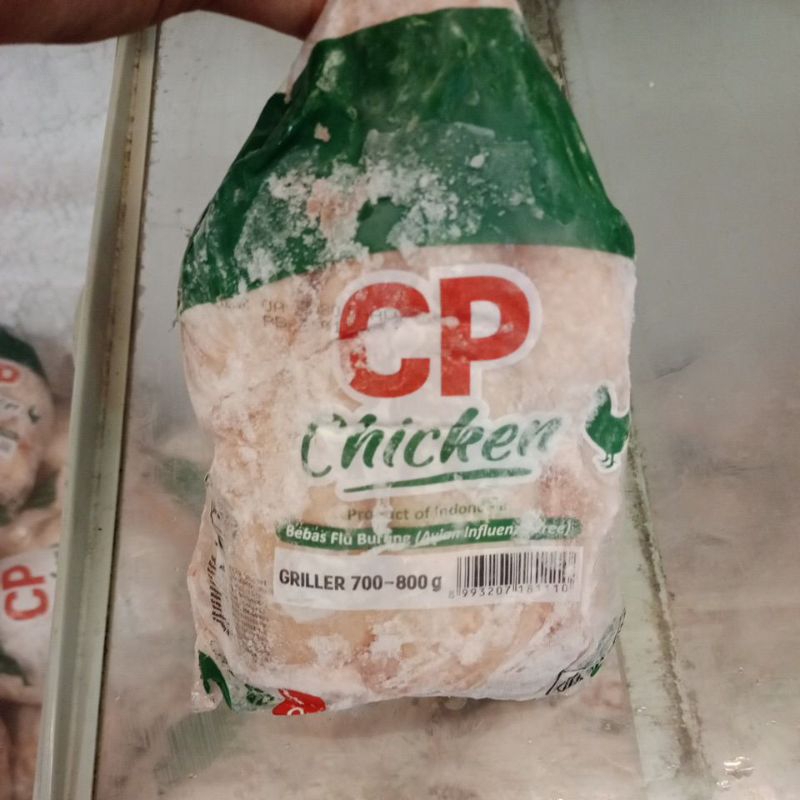 

Ayam Negri