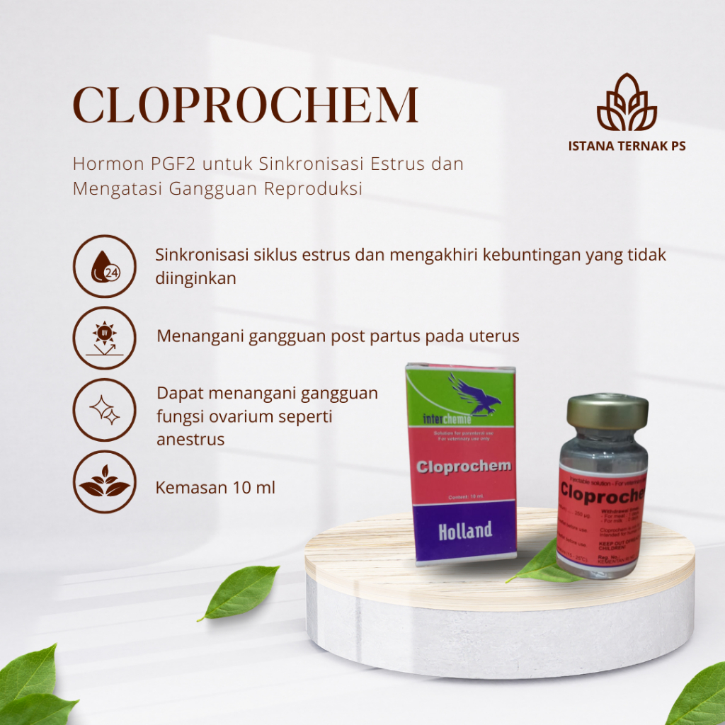 CLOPROCHEM isi 10 ml Hormon PGF2@ Sinkronisasi Estrus dan Mengatasi Gangguan Reproduksi