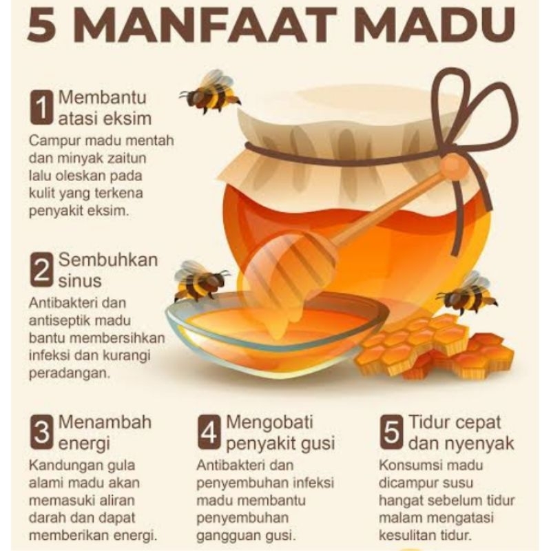 

p4yu Super Madu Hitam pahit Al-bany Plus Daun insulin Propolis Nett 1gr