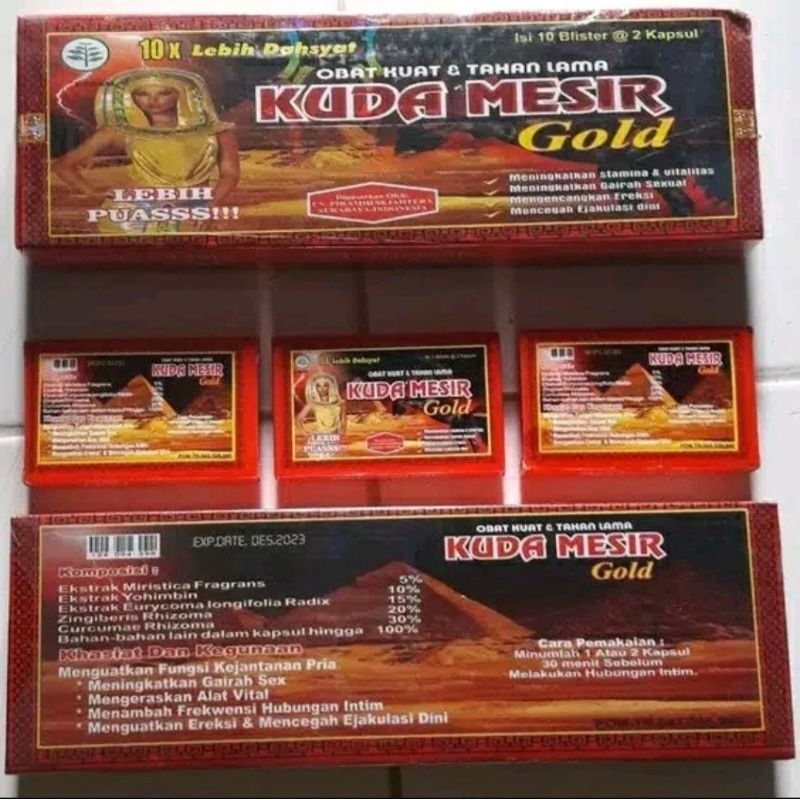 Kuda Mesir Gold