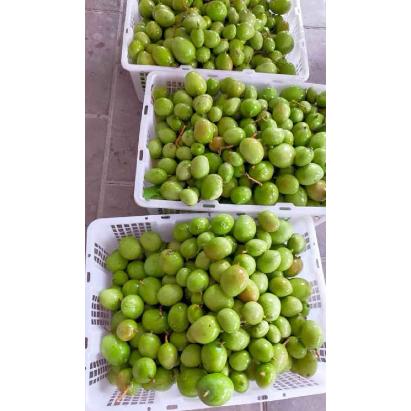 

mangga donat rujak