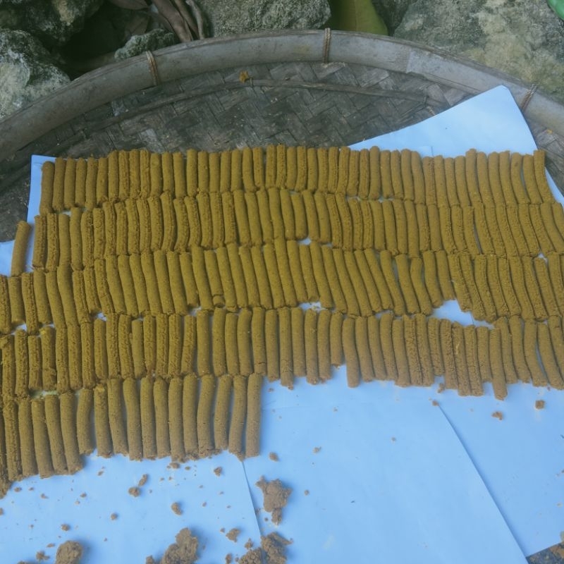 

JAMU JALU SETAN RF FRAM