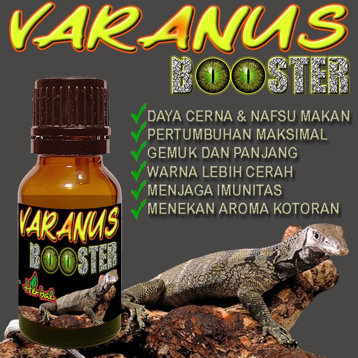 VARANUS BOOSTER VITAMIN BIAWAK SALVATOR VARANNUS SAVMON LIZARD SAVANNAH MONITOR KADAL OBAT PENAMBAH 