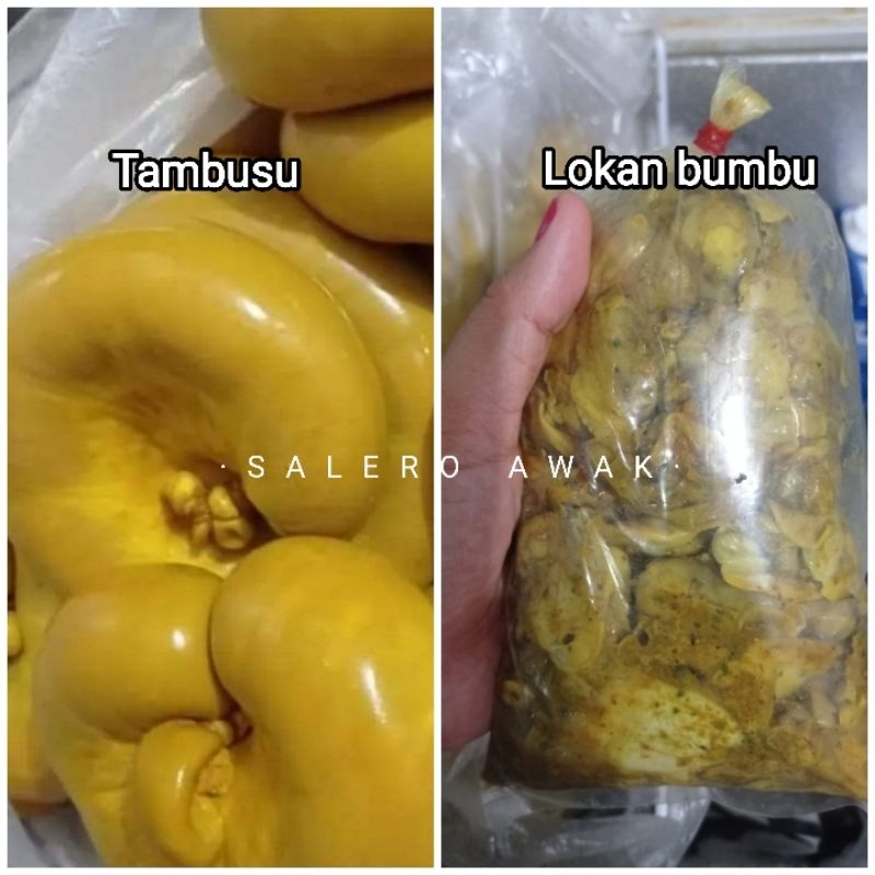 

SALERO AWAK Tamusu Tambusu Usus sapi Isi telur Lokan bumbu ungkep ikan rinuak mentah Frozen Siap Gulai 500gr Padang Minang