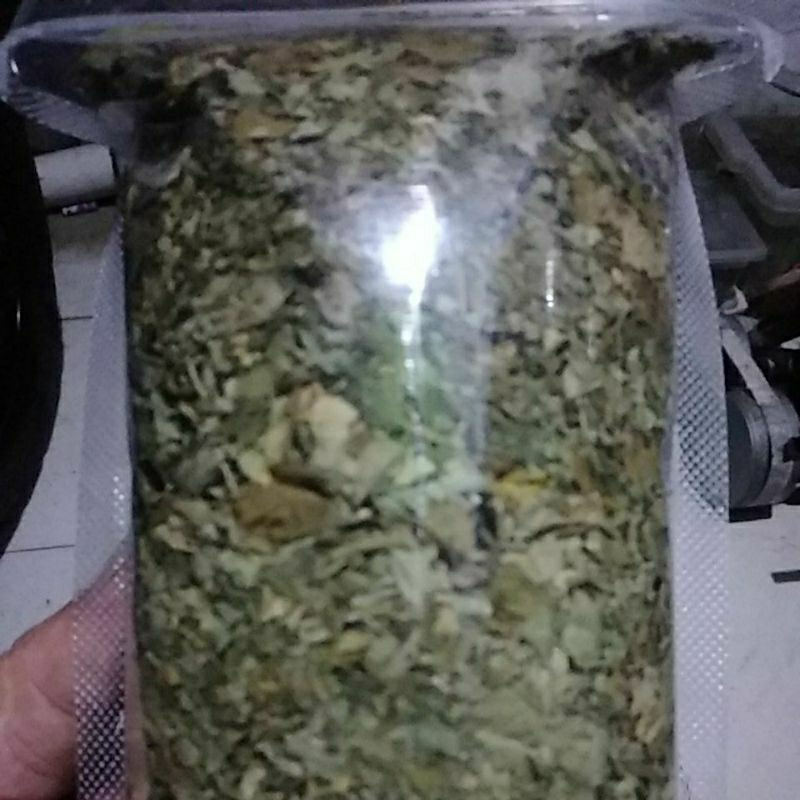 

Daun kelor kering