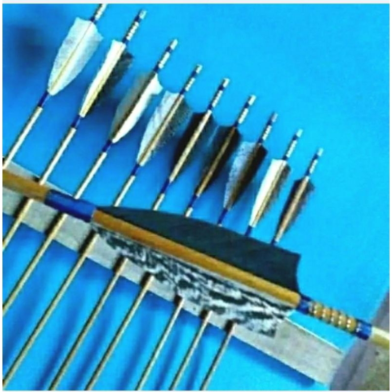 arrow ramin grade A bulu kalkun busur panah