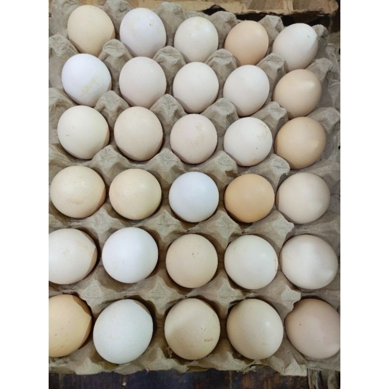 

Telur Ayam Kampung 30 butir