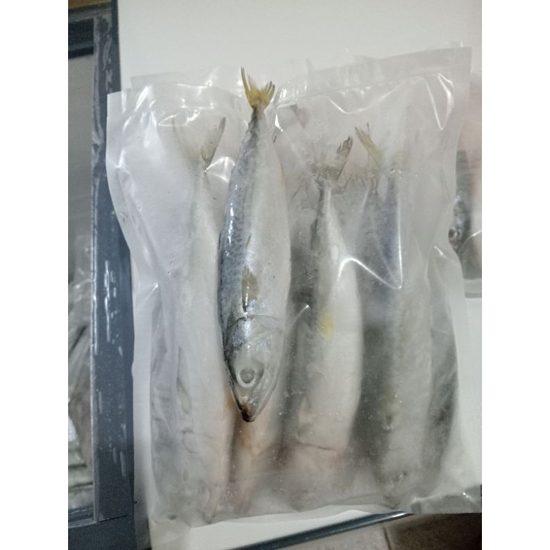 

ikan salem atau macerel