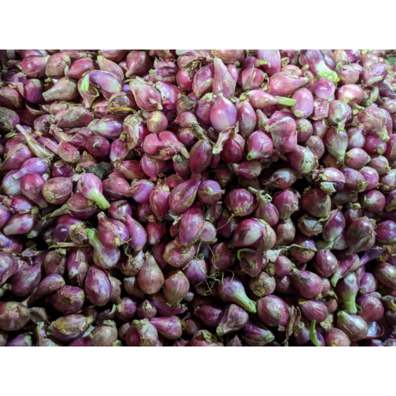 

Bawang merah super 250gr