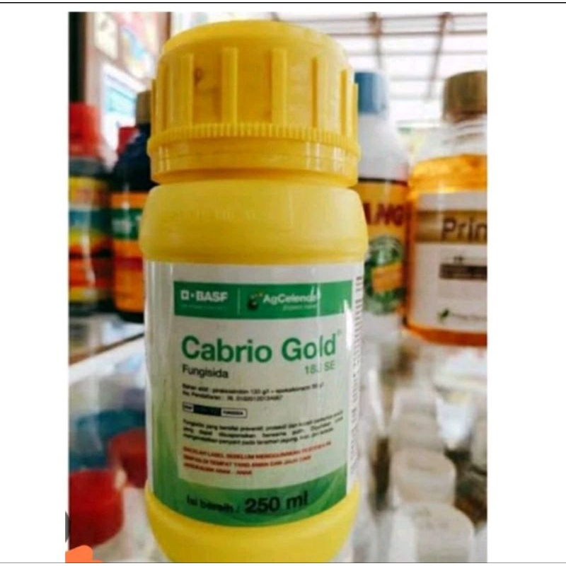 Cabrio Gold® 183 SE(250ml)