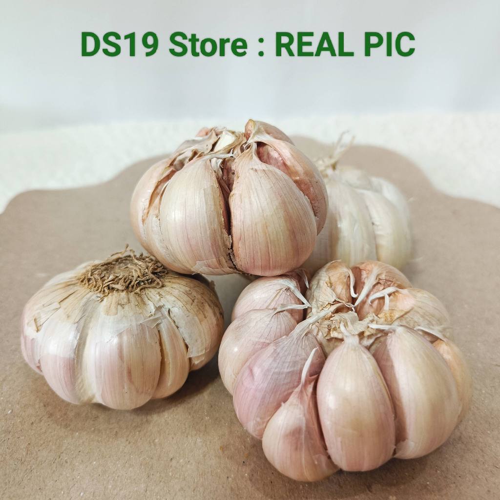 

Bawang Putih Bulat Utuh Honan / Banci Kulit 250gram - 1 kg