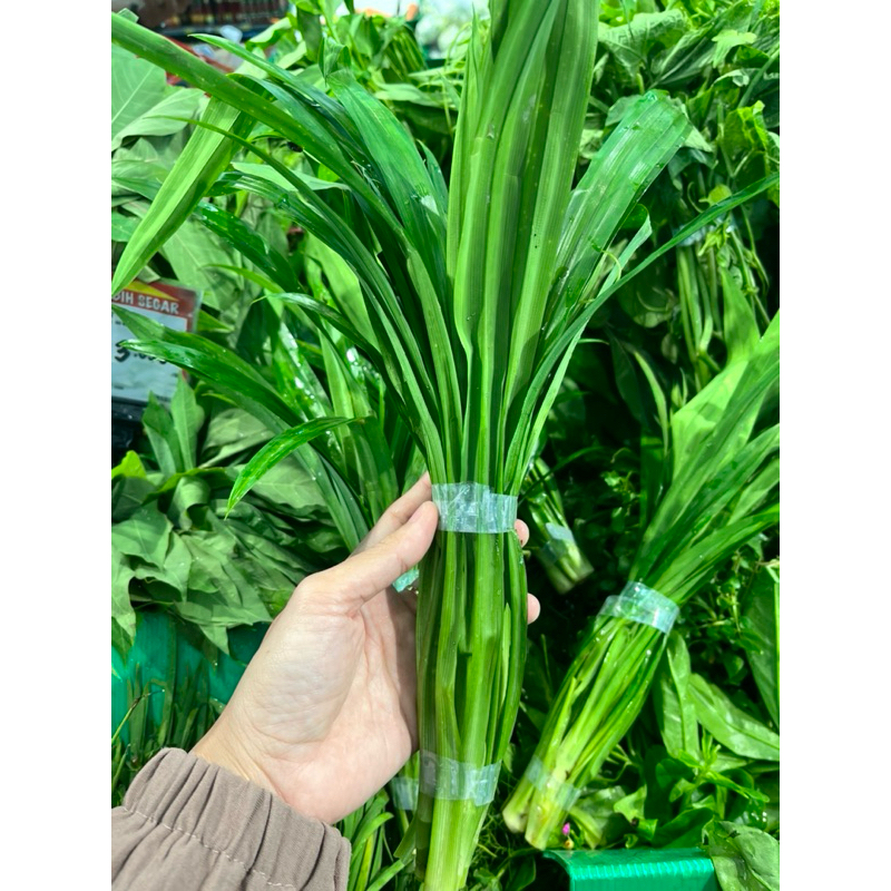

Daun pandan segar