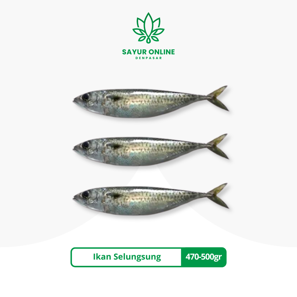 

Ikan Selungsung Fresh Frozen 470-500gr - Sayur Online Denpasar