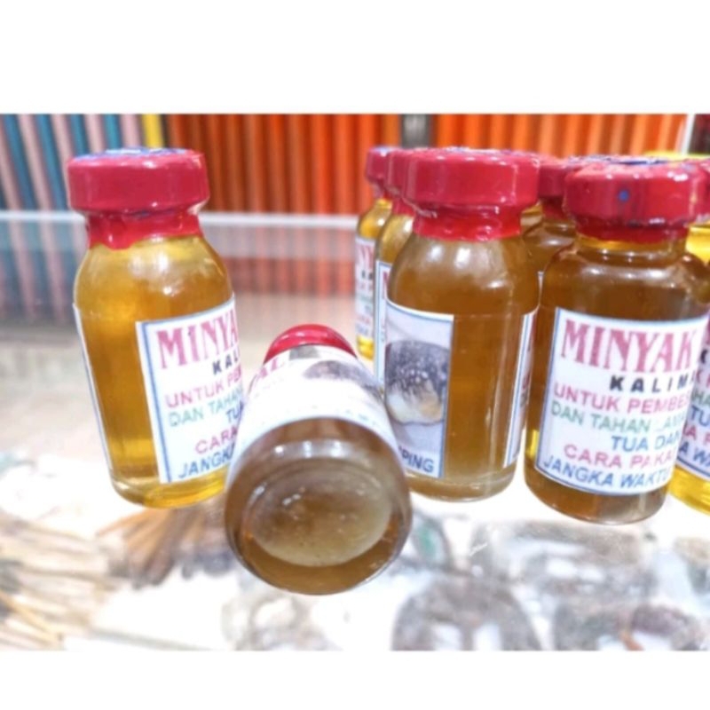 minyak buntal