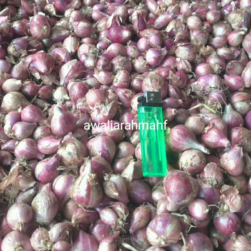 BAWANG MERAH 1KG ASLI PETANI KULON PROGO